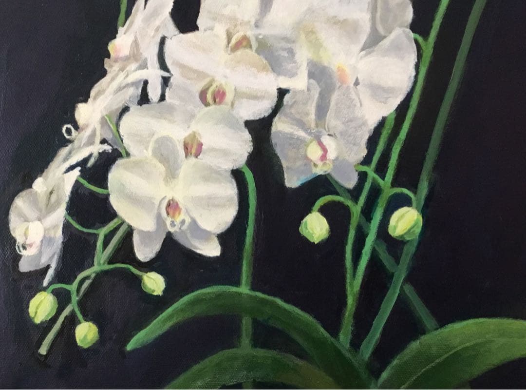 油彩画　「　胡蝶蘭　」F6号