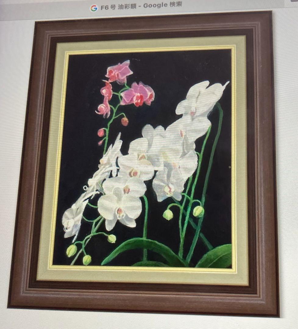 油彩画　「　胡蝶蘭　」F6号
