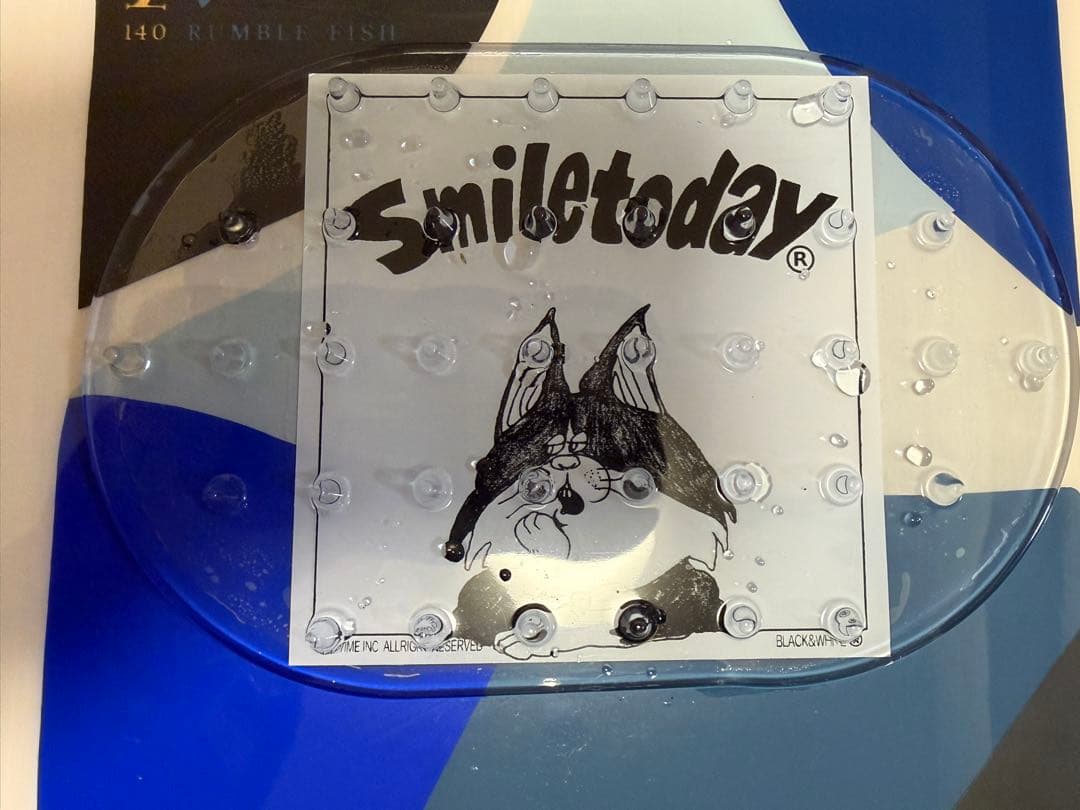 ちょん SALOMON RUMBLE FISH 140cm スノーボード