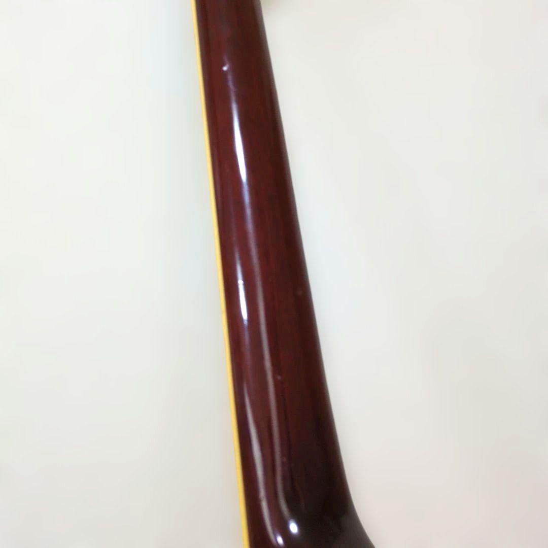 Pro Martin EA500W VS エレアコ