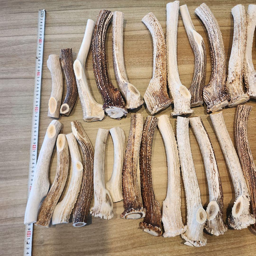 鹿の角 (特大～大サイズ)犬用おもちゃ ランダム　10kg