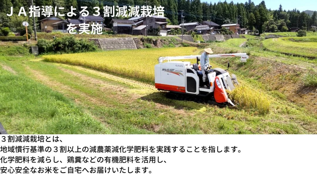 令和７年　新潟産コシヒカリ　玄米20Kg　おいしいよ～