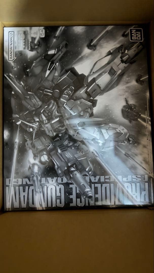 【新品未開封】MG 1/100 プロヴィデンスガンダム スペシャルコーティング