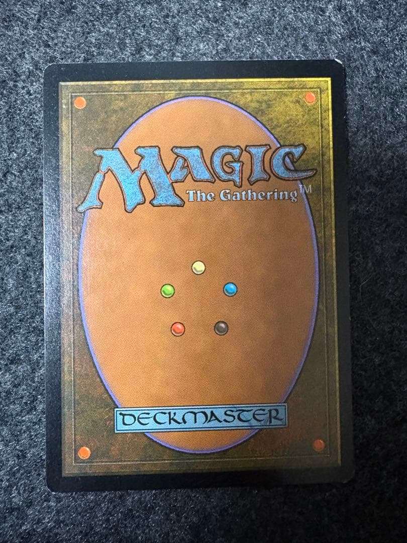 美品　MTG セラの聖域　日本語版