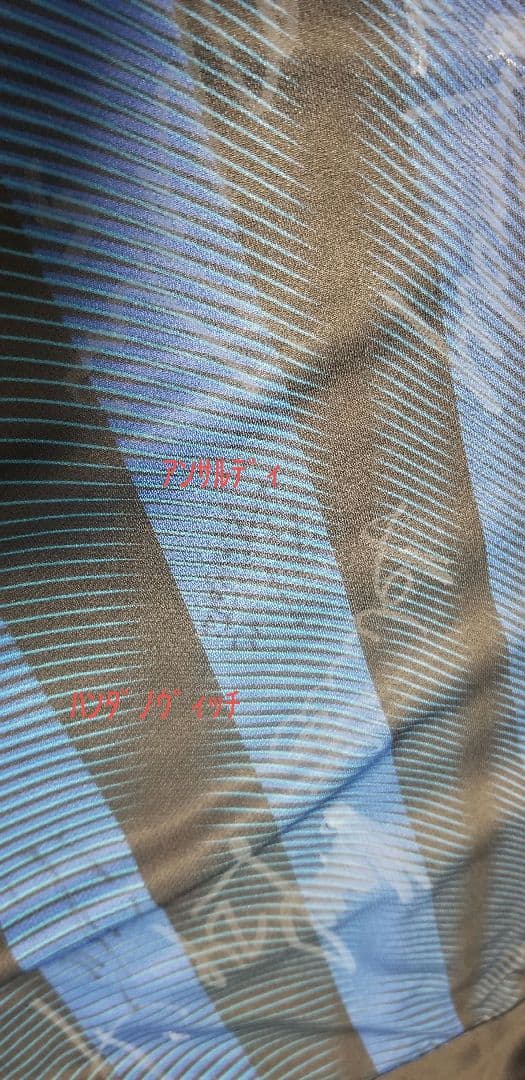 長友　イカルディ　マリオ　ハンダノヴィッチ　パラシオ　ダンブロージオ　直筆サイン