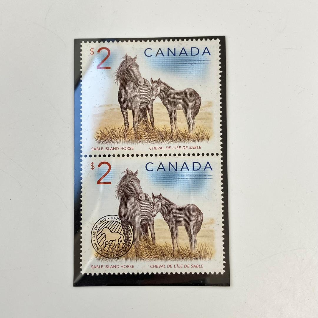 カナダ造幣局発行 Sable島/セーブル 馬 記念＆切手セット 2006年