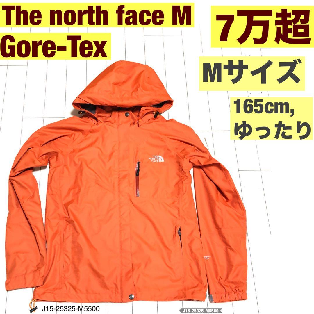 The North Faceジャケット Gore-Tex M スキー　登山