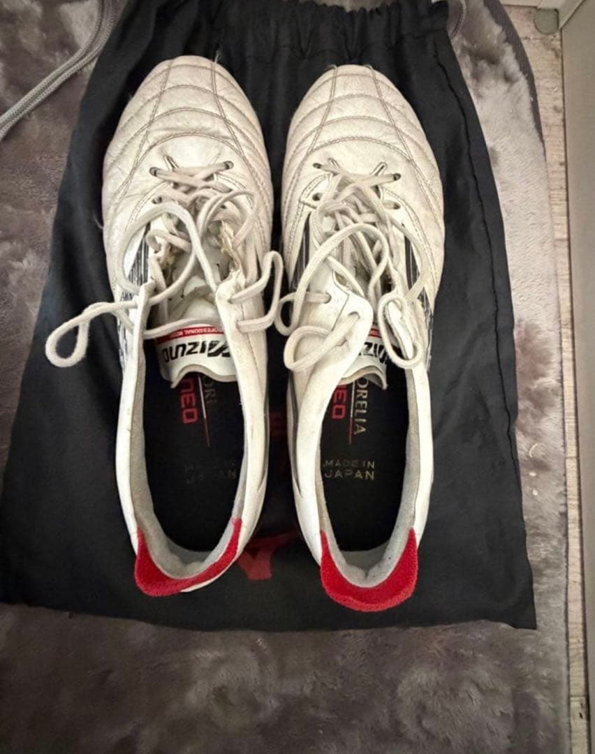 MIZUNOモレリアネオ4