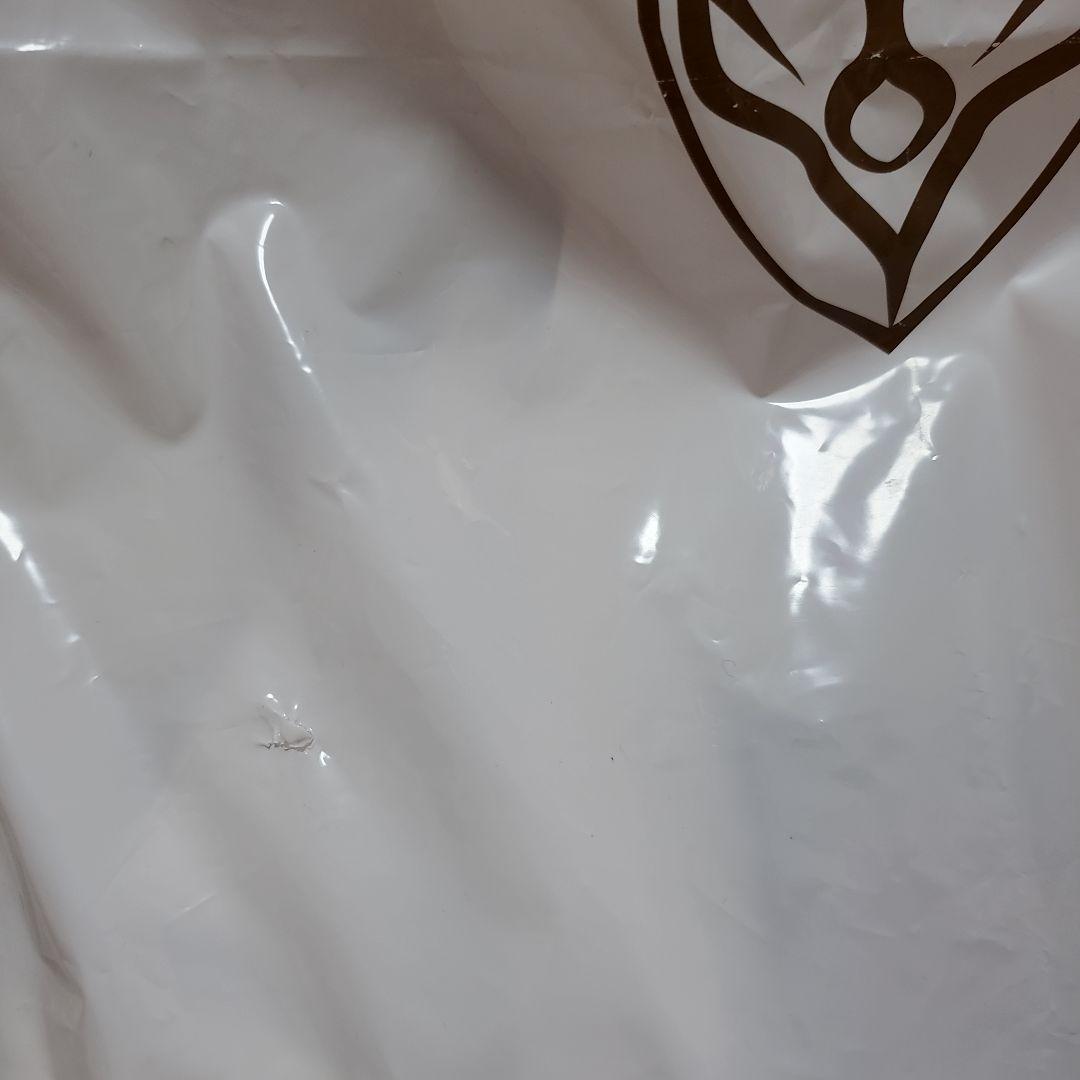 【未使用・未開封】バンプ ホームシック衛星 ホームシップ衛星 2008 グッズ