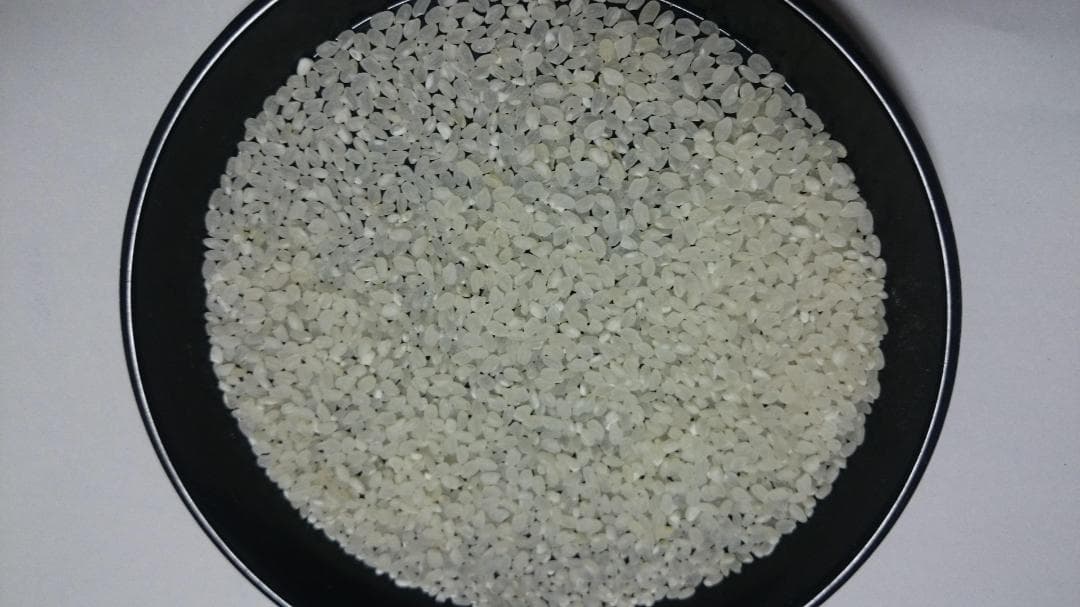 令和6年 長野県 北安曇野産 つきあかり 10kg