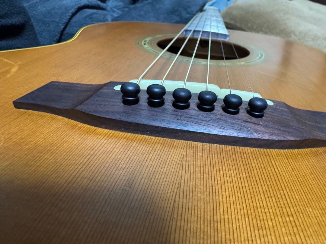 Takamine PT05N 150本限定ギター