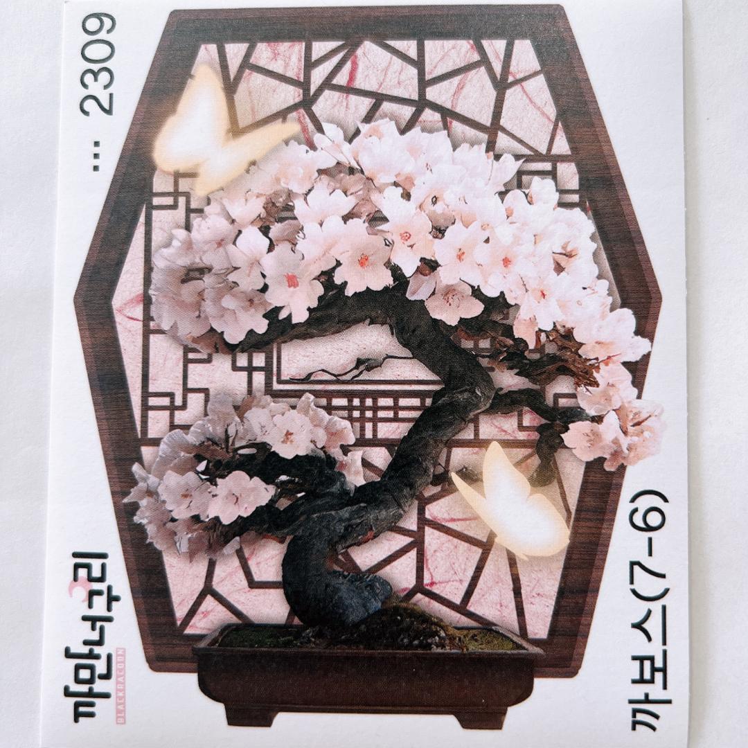 E34.装飾ステッカー セット売り　韓国作家　黒いたぬき　カボス