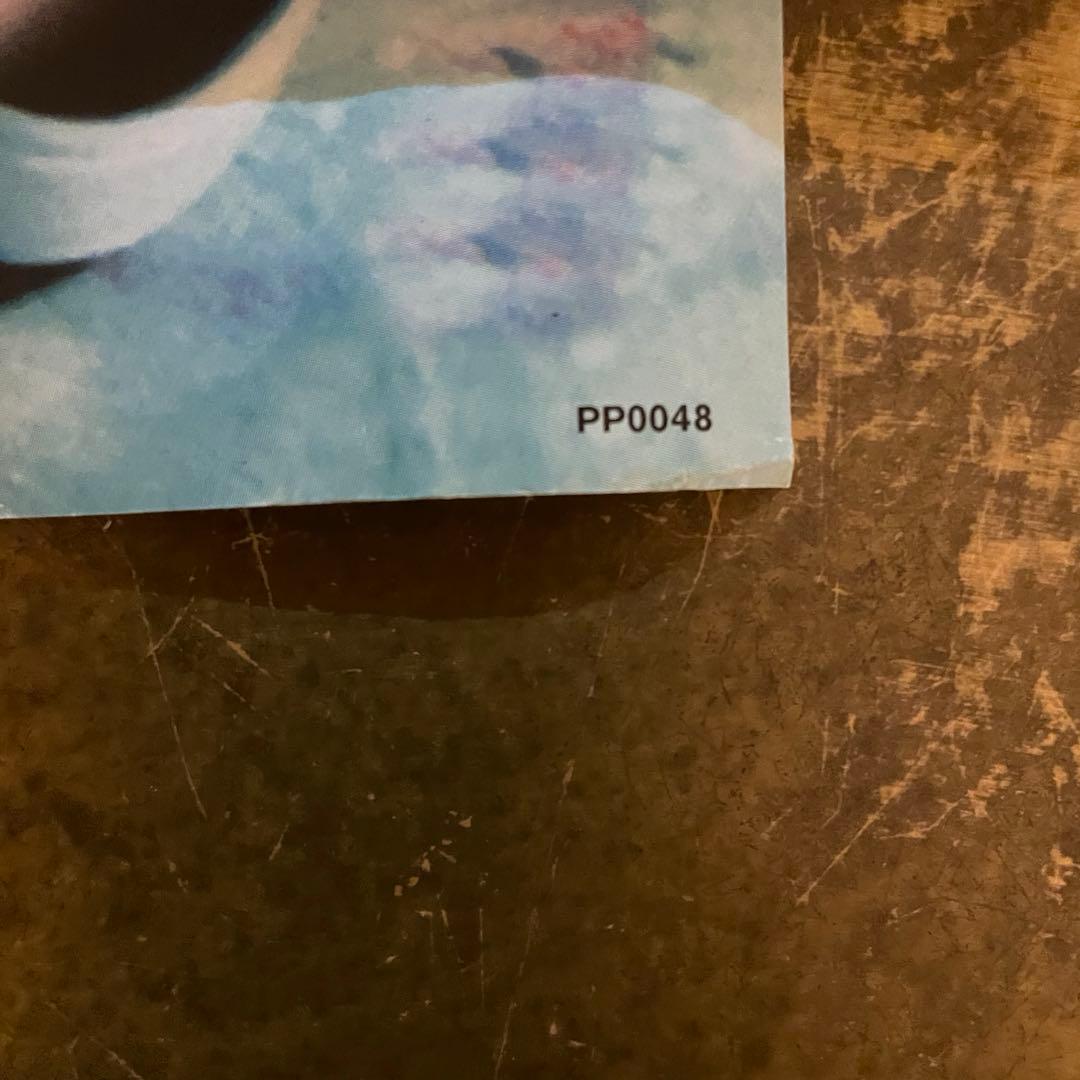 90s デッドストック Limp Bizkit 大判ポスター