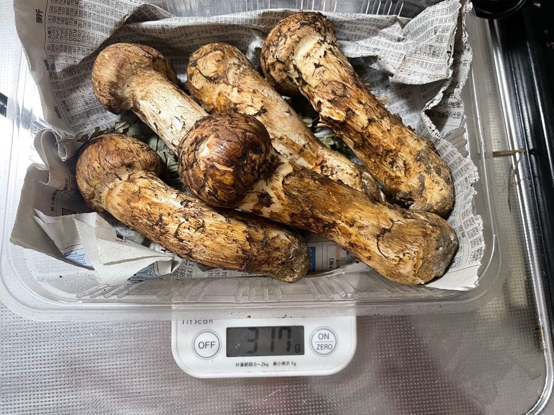 岩手マツタケ 317g 4本入り