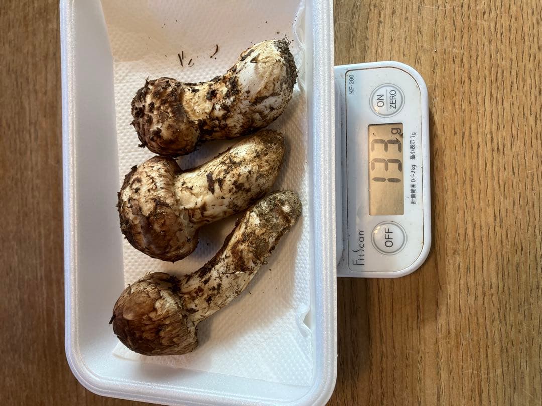 信州伊那の松茸