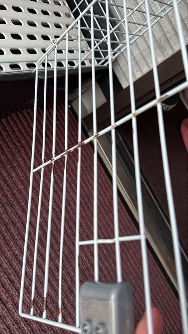 小動物用アクセサリーセット うさぎフルセット