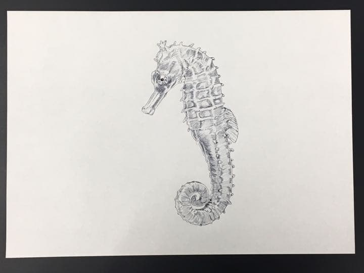 干支　前半　イラスト　6枚