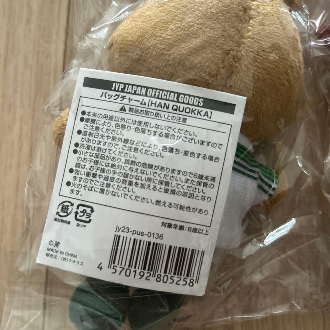 STRAY KIDS SKZ バッグチャーム ぬいぐるみ メンバー8個セット