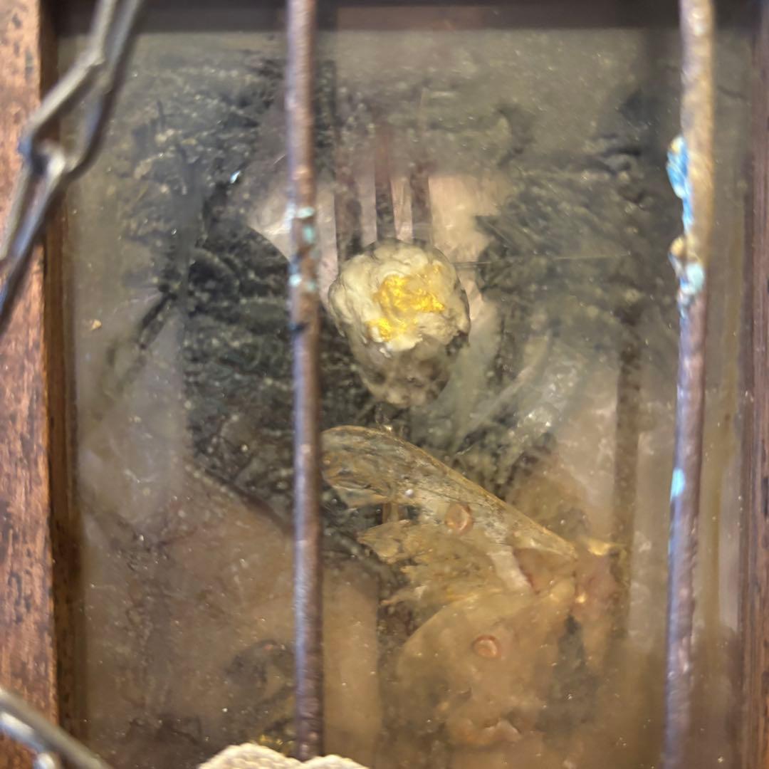 【Special Price】 食され羽ばたかぬ者達の檻オブジェ