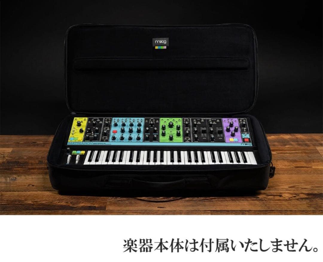 Moog SR Series Case ブラック