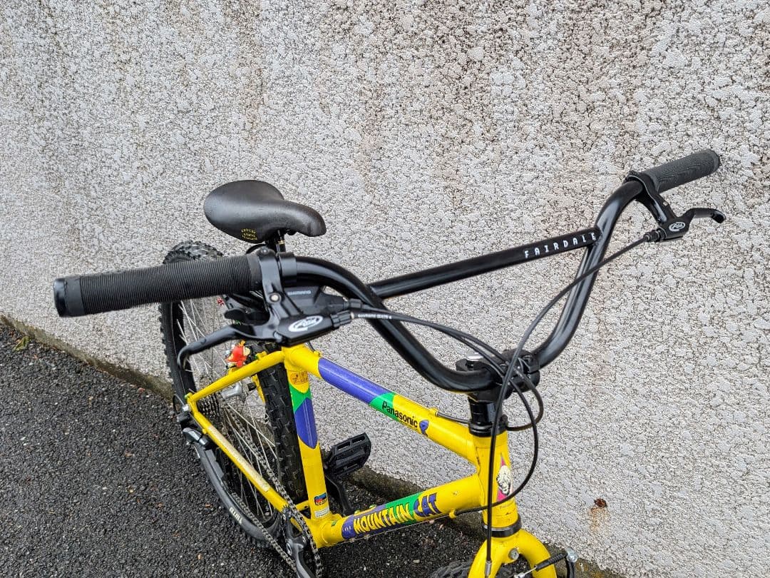 panasonic mountain cat クロモリ　oldmtb