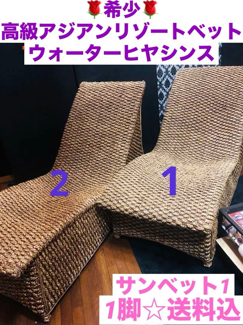 超稀少♦️ウォーターヒヤシンス♦️最高級リゾート　サンベット♦️シェーズロング♦️送料込