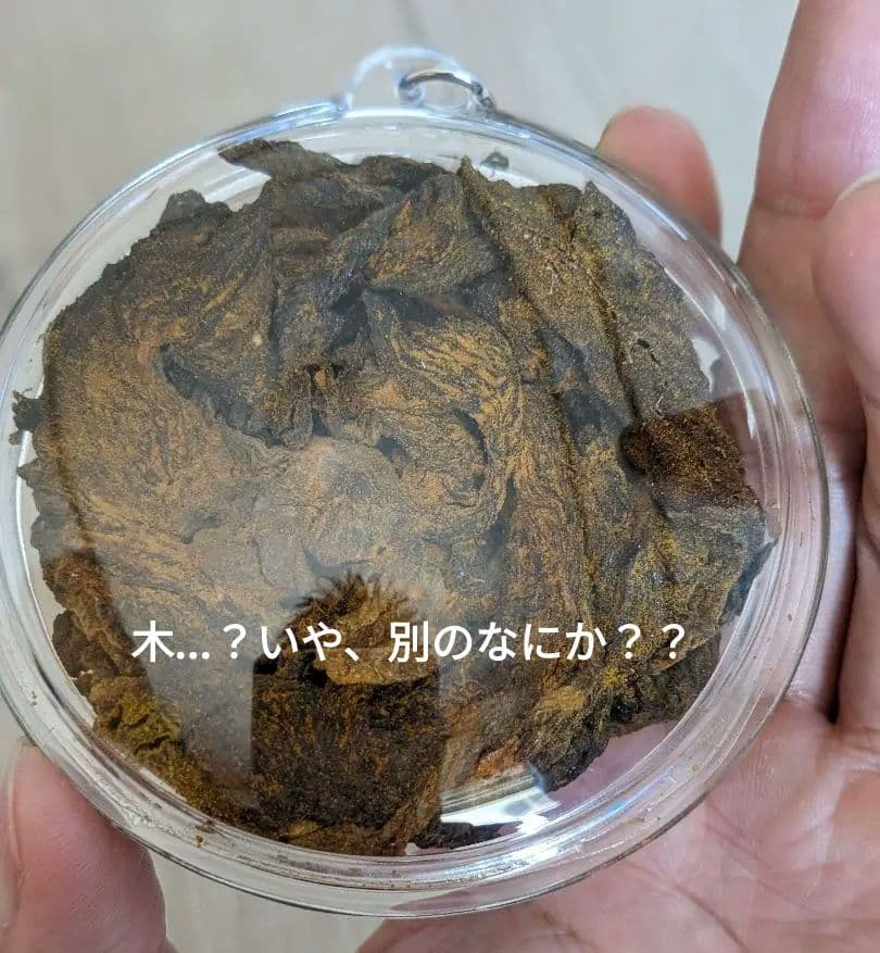 【マジモノ…】動物の〇ちゃんを素材としたプラクルアン？呪物？すごい金運＆幸運…