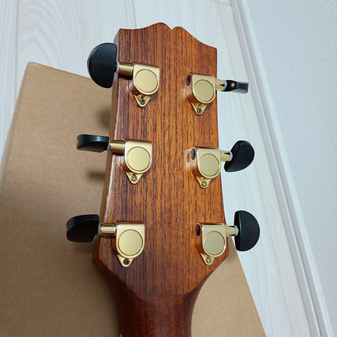 SX DG-LTD2 アコースティックギター