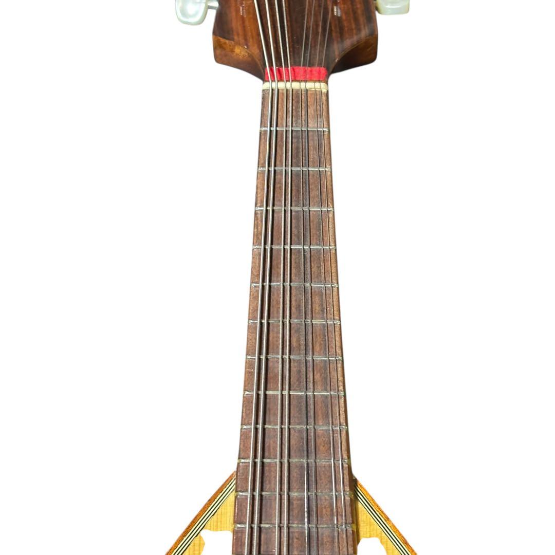 ケース付 RAFFAELE CALACE Type26 ラファエレ カラーチェ