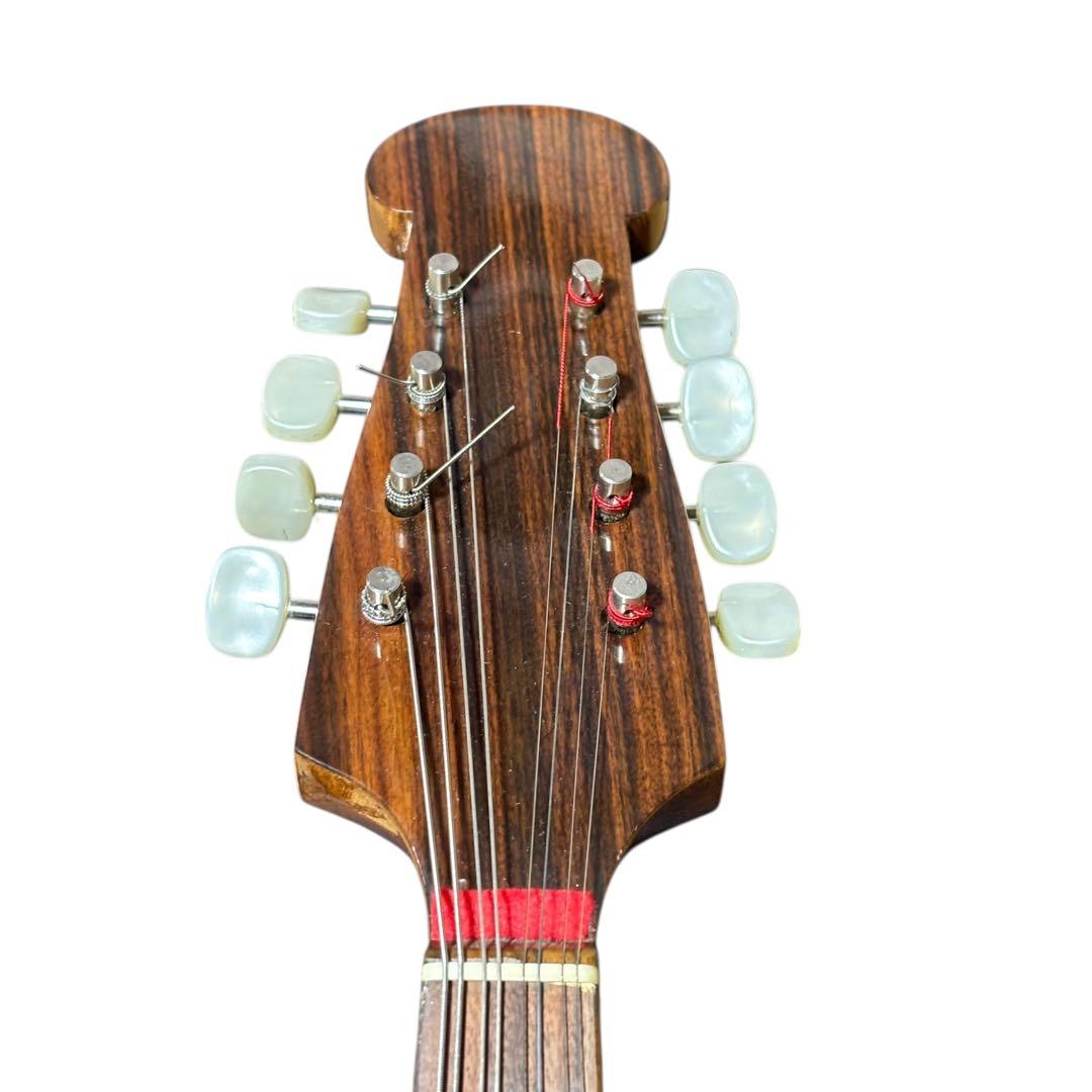 ケース付 RAFFAELE CALACE Type26 ラファエレ カラーチェ