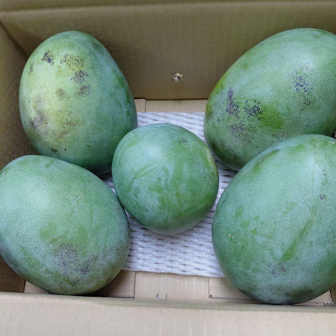 追熟型A　キーツマンゴー５玉