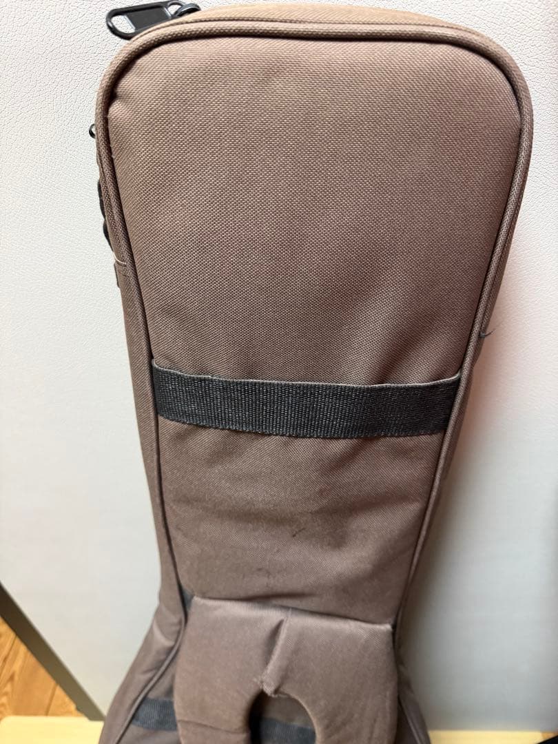 PRS SE custum24 グリーン　ソフトケース付き