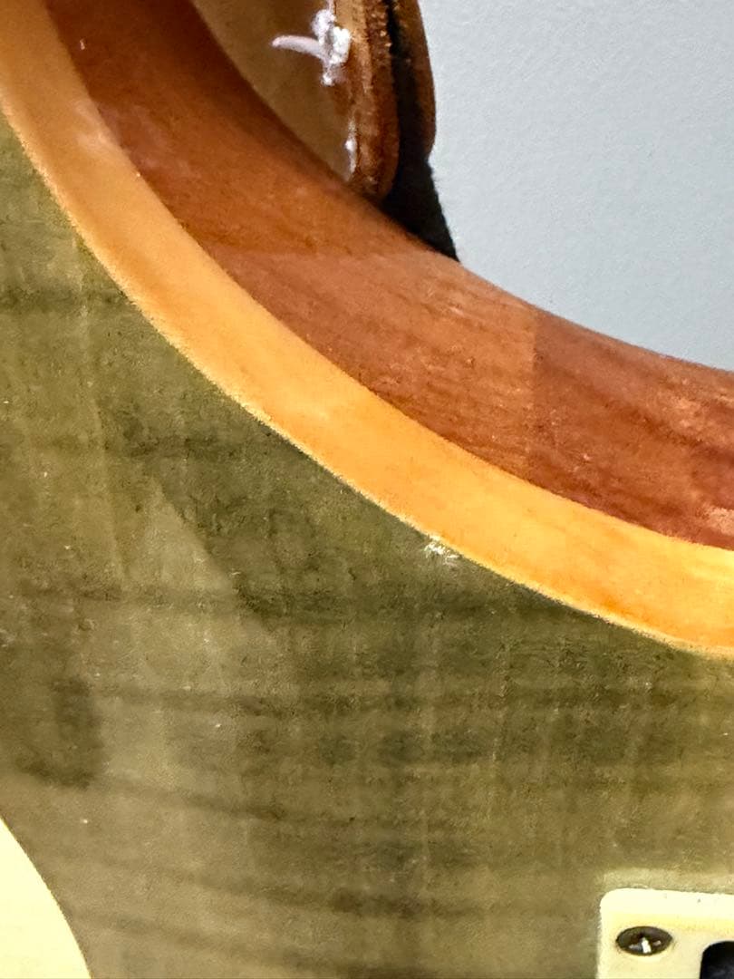 PRS SE custum24 グリーン　ソフトケース付き