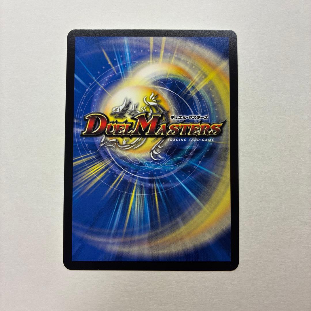 闘争類喧嘩目 ステゴロ・カイザー お清めシャラップ GPプロモ