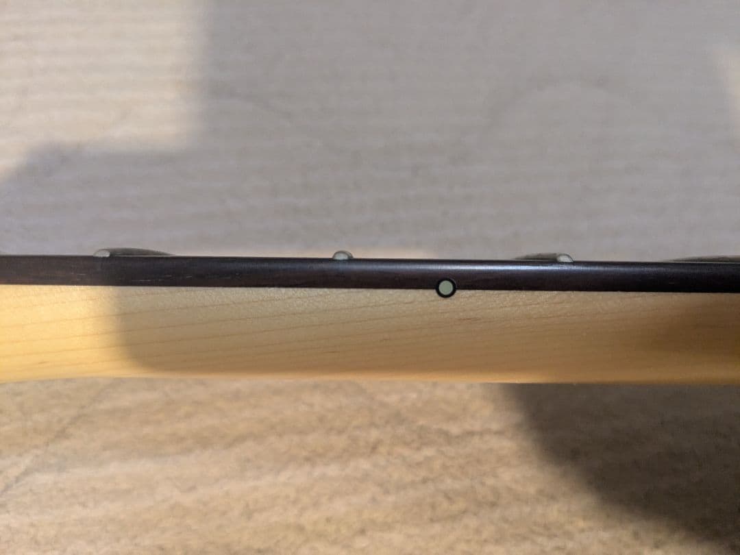 日本製テレキャスター FGN(フジゲン) グリーン エレキギター