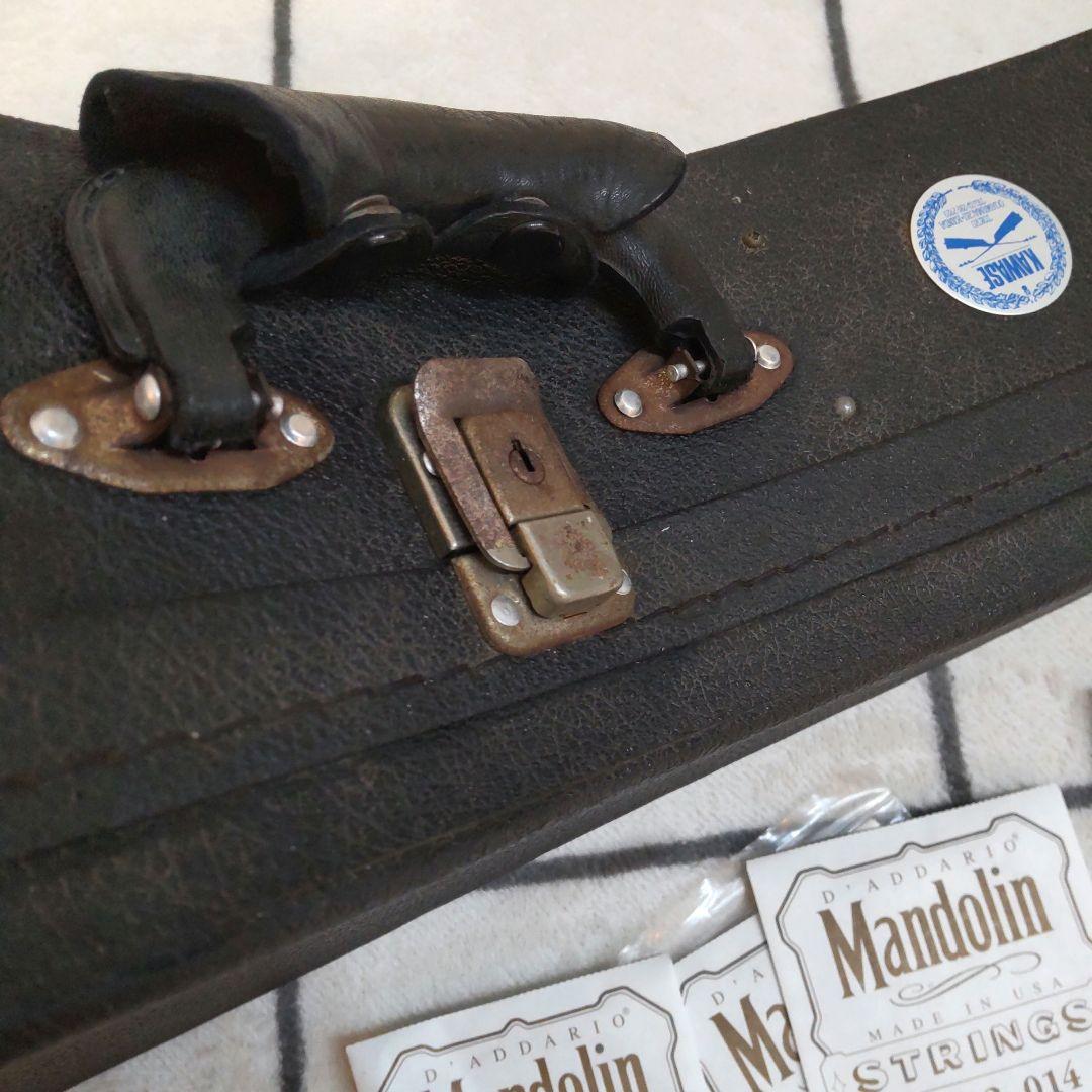 JUMBO 田原楽器　TAHARA　フラットマンドリン　弦楽器 ジャンボ