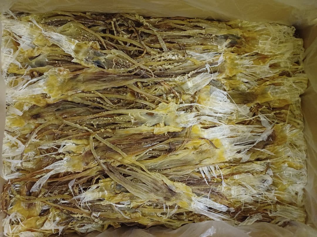 期間限定再開　『国産無添加食品』【大好評前浜するめ足:1.6kg 】