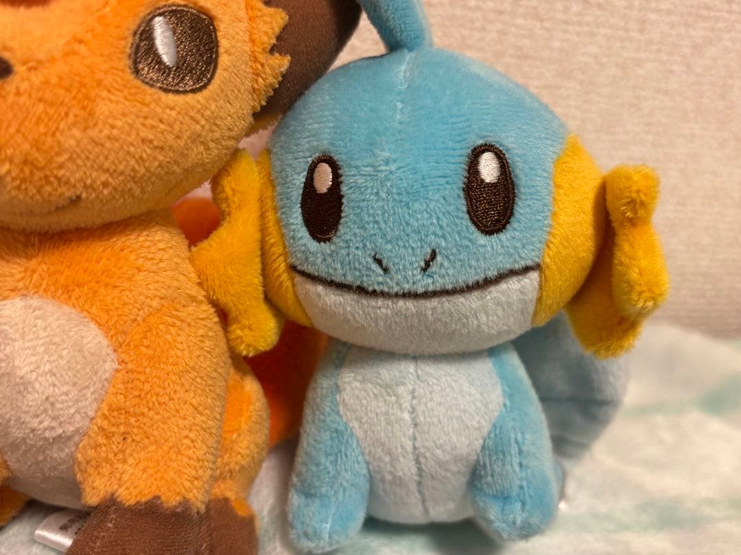 ポケモンセンター限定　キャンバス ぬいぐるみ　4体セット　ミズゴロウ、シェイミ