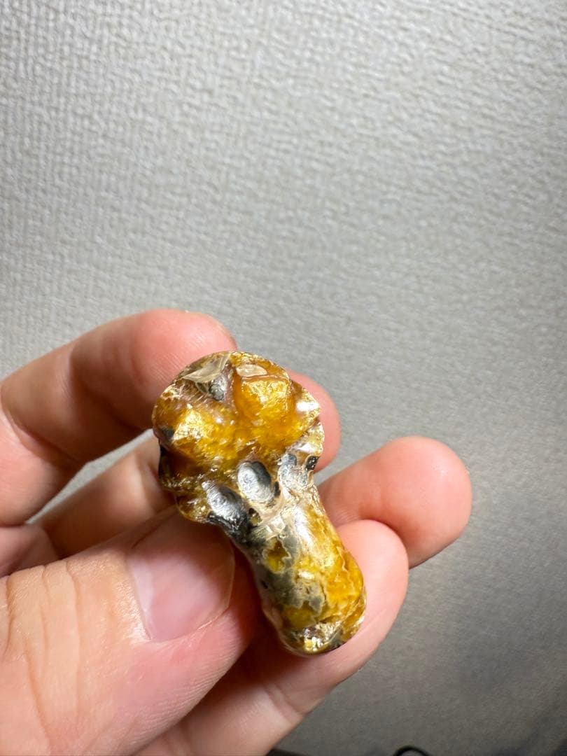 極美品　マダガスカルのアンモナイト化石　2点セット　本物保証　希少　送料無料