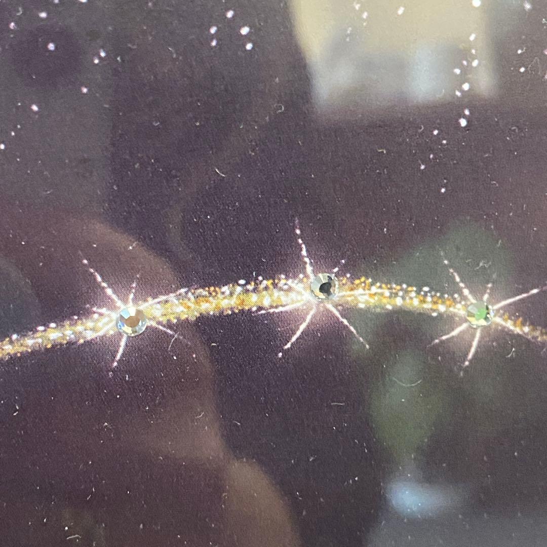 ミッキー魔法使い 限定版　スワロフスキー　エディションリトグラフ