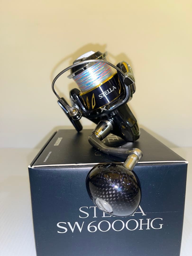 リール SHIMANO STELLA SW6000HG