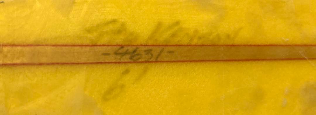 Joel tudor RABBIT 6‘1by Stu Kenson