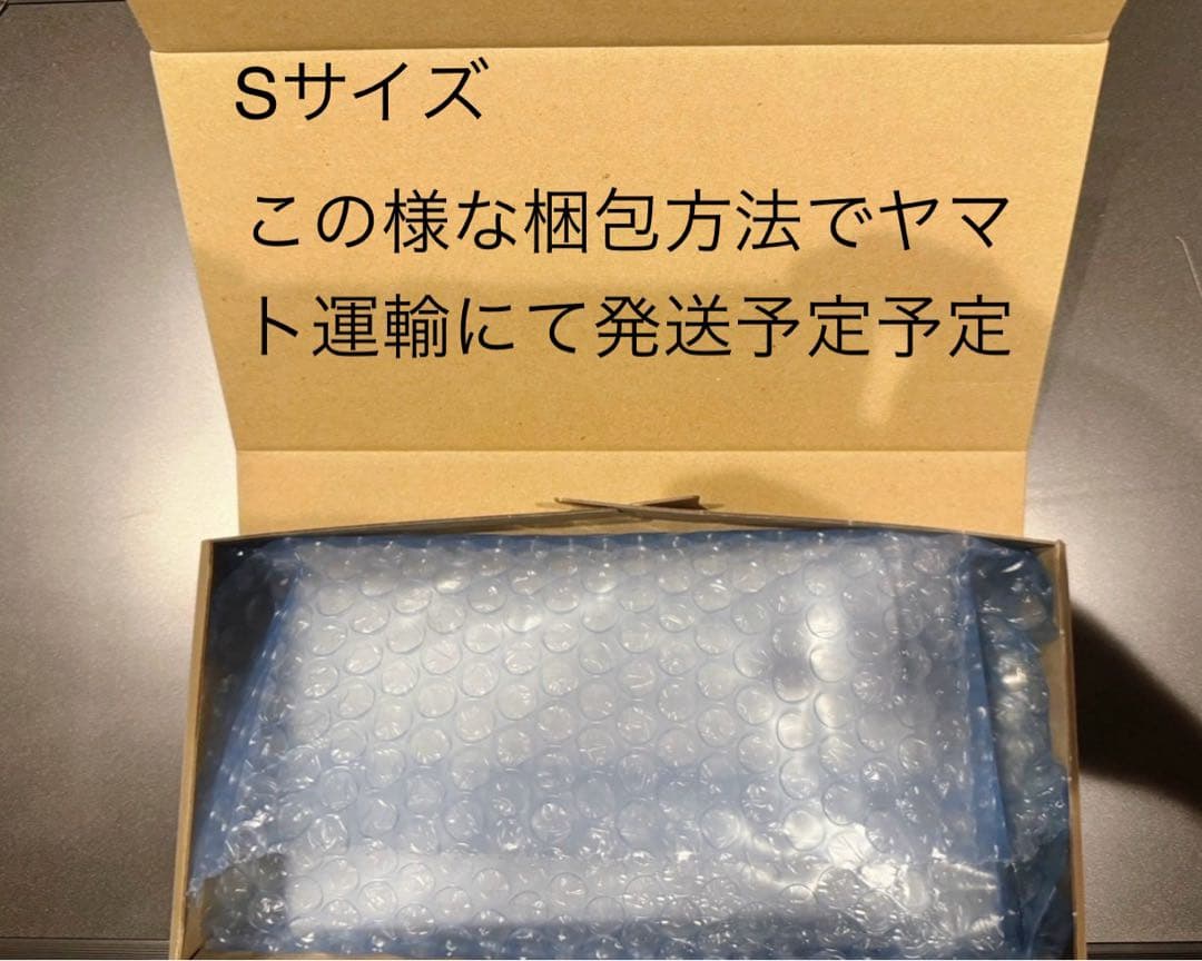 PSA10 GUNDAM シャアアズナブル#011