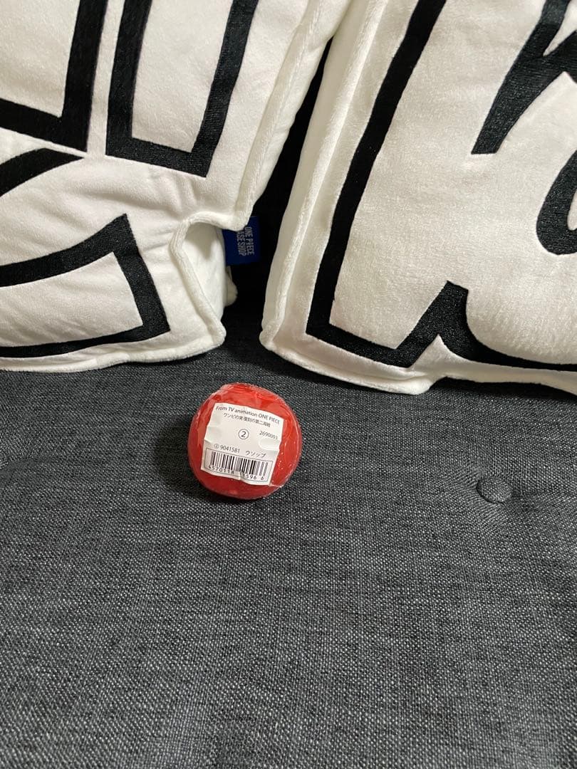 ワンピの実　20個セット