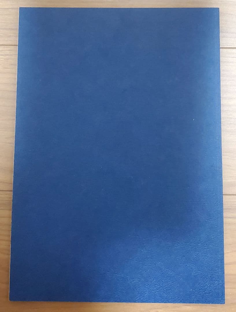 水瀬いのり　単独＆キンスパ　ライブパンフレット（写真集）