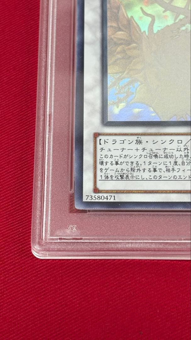 遊戯王 PSA10 ブラックローズドラゴン ホログラフィック
