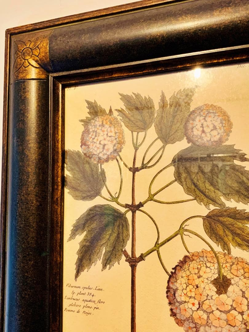 フランス　アンティーク　フレーム　絵