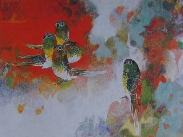 市野龍起、【ビセイ・インコ】、希少な額装用画集より、新品額装付、状態良好