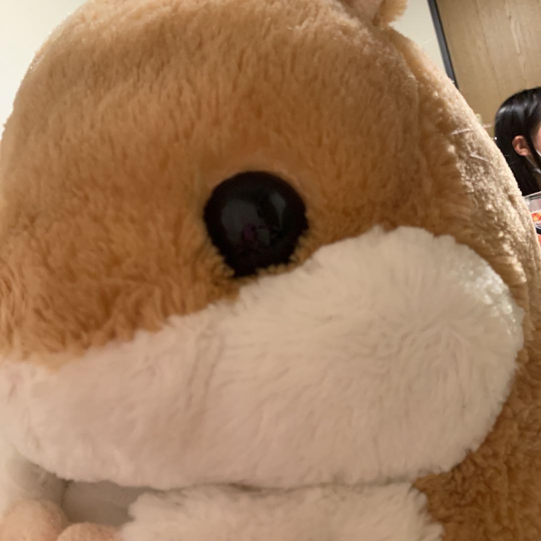 ぽてうさろっぴー ぬいぐるみ