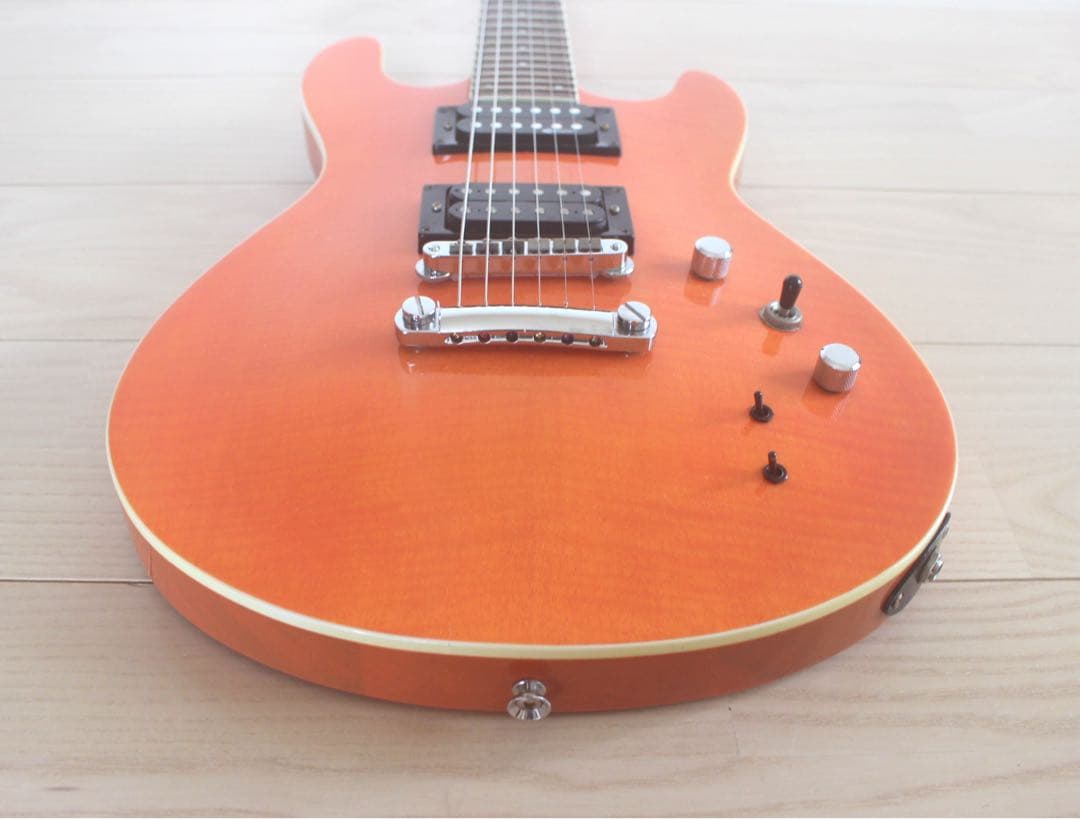 Fernandes APG-55S サスティナー搭載